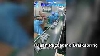 BRISKSPRING'in son derece temiz ve düzenli paketleme hattı