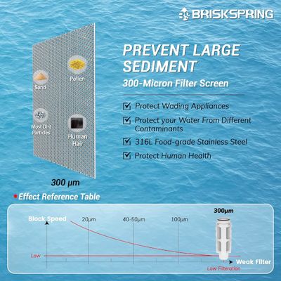 BPA Serbest 40 Mikron Spin Down Sediment Filtresi Ölçeklenme ve korozyon önler