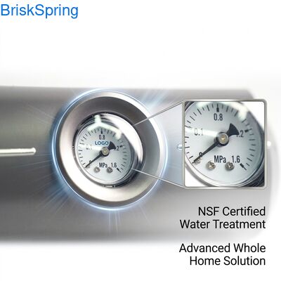 Pirinç Tam Ev Su Kireç Çözücü 5T/S Akış NSF RoHS Sertifikalı