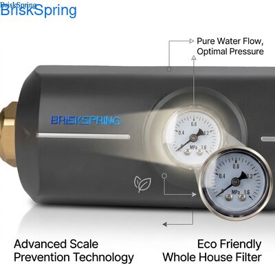 Ekoloji dostu zehirli olmayan ABS vücut Anti Scaling Filter Tüm Ev Su Descaler